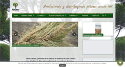 Desktop Screenshot of pinonesie.com