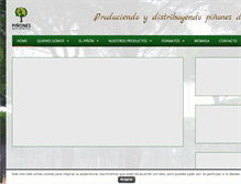 Tablet Screenshot of pinonesie.com